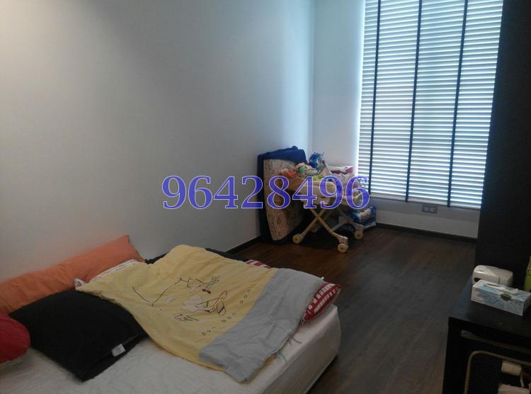 The Sunny Spring (D14), Apartment #80437212